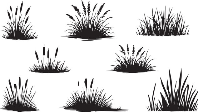 Black grass silhouette vector set, wild meadow plants and cattail reed illustrations, botanical marsh vegetation icons for landscape design