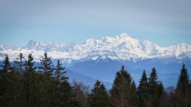 Aerial view of the snow-capped Mont Blanc massif with jagged peaks and dense evergreen forest in the foreground Chamonix, Auvergne-Rhone-Alpes, France.