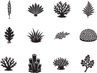 Underwater plants vector set with seaweed, coral, marine vegetation silhouettes on white background. © Md Ataullah 