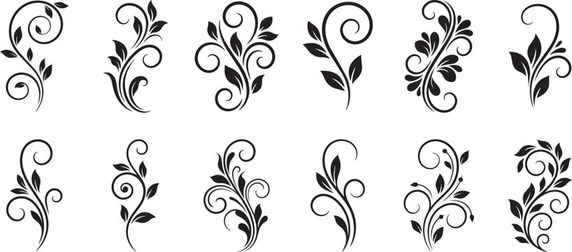 Floral swirl designs collection, various styles, decorative floral swirls vector art.