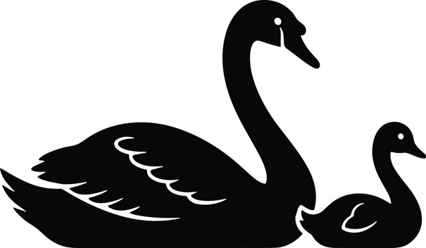 Black swan and cygnet silhouette illustration isolated on light background featuring elegant aquatic bird family design