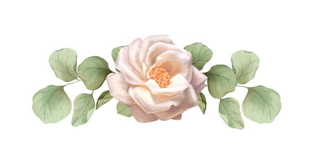 Hand drawn delicate rose vignette with white flower and eucalyptus leaves botanical floral arrangement © Gribanessa