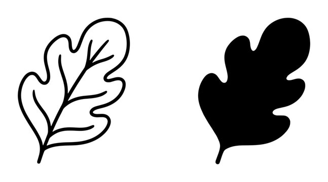 Oak Leaf Icons, Outline and Silhouette, Simple Botanical Vector Graphics for Nature and Autumn Designs