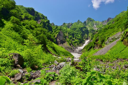 新緑の利尻島　ヤムナイ沢
