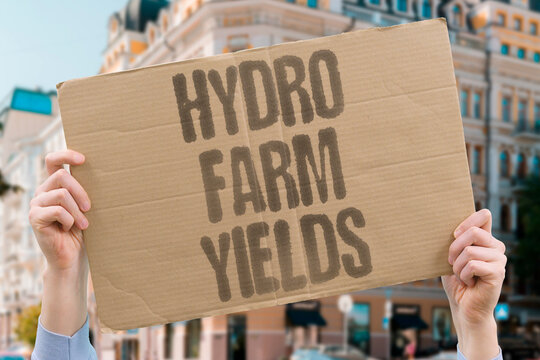 "Hydro Farm Yields" Hydroponic farms produce higher yields per square metre than field farming. HYDROPONIC. FARMS. YIELDS. SQUARE. METRE.