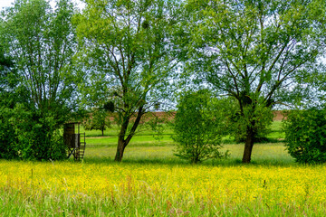 Hoch und Jägersitz am Waldrand © focus finder
