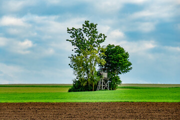Hoch und Jägersitz am Waldrand © focus finder
