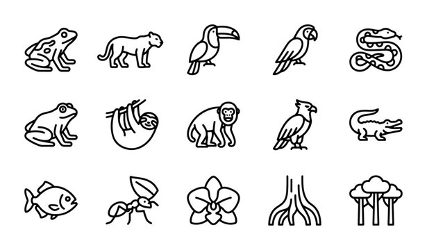 Amazon Rainforest Wildlife Icons Set, Tropical Animals Vector Graphics, Jungle Flora and Fauna Collection