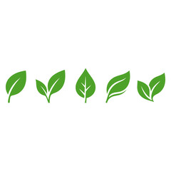 Fototapeta premium Collection of five green leaf with varying shapes and vein details nature plant organic