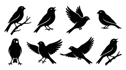 Fototapeta premium Black Bird Silhouettes Collection Flying and Perching Icons