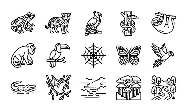 Amazon Rainforest Wildlife Icons Set, Tropical Nature Vector Graphics, Jungle Animals and Plants Collection