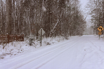 Fototapeta premium Snow covers road trees in forest during winter storm in rural area at midday