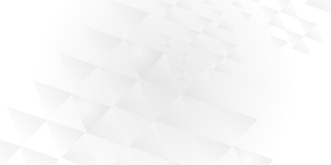 Fototapeta premium Abstract low poly surface background. Polygonal plane. white and grey landscape background with triangle decoration. Geometric pattern with light silver triangles. Geometric modern ornament. 