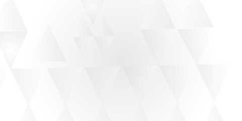 Obraz premium Abstract low poly surface background. Polygonal plane. white and grey landscape background with triangle decoration. Geometric pattern with light silver triangles. Geometric modern ornament. 
