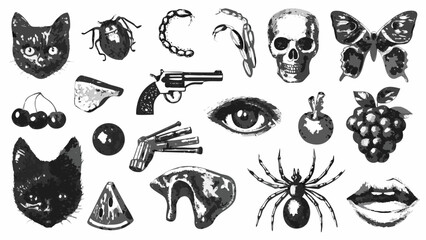 assorted objects collection grayscale illustration of a cat skull butterfly fruit and other elements on white high quality © Sujit