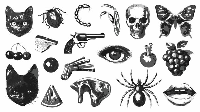 assorted objects collection grayscale illustration of a cat skull butterfly fruit and other elements on white high quality