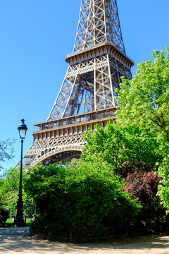 Eiffel Tower framed by spring greenery in Paris