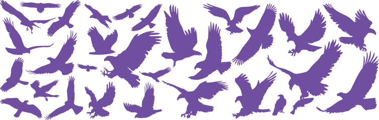 Obraz premium Light Purple Eagle Collection, Flying Bird Wings Silhouette Vector Set Transparent Background