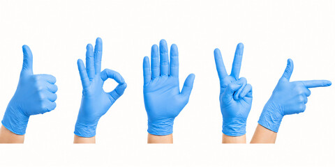 Fototapeta premium Hands wearing disposable blue nitrile protective examination gloves.