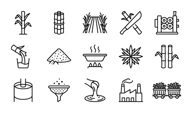 Sugarcane Processing Icons, Sugar Production Vector Set, Sweetener Manufacturing Elements
