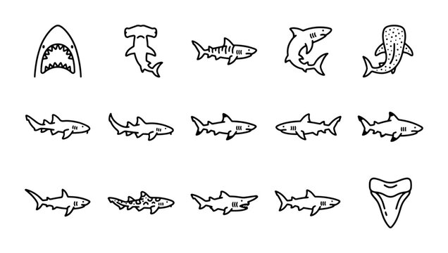Shark Vector Icons Set, Marine Life Collection, Ocean Predators Graphics, Underwater Animals