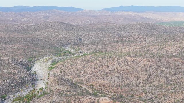 Aerial views present a sunrise over Catavina, Baja California revealing unique desert plants like cirios and blue palms in the oasis.