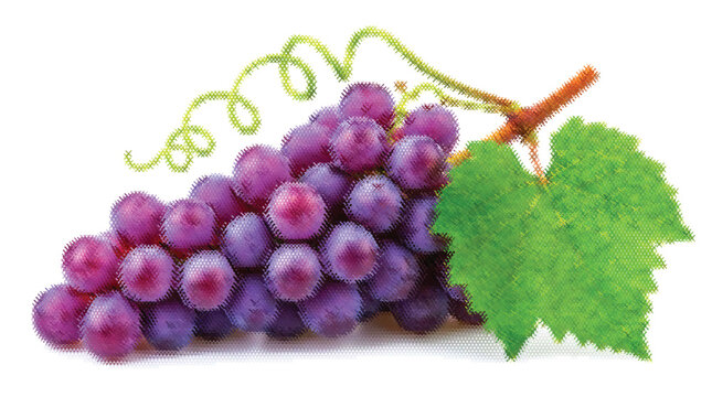 Purple Grapes Handmade Needlework Craft Cross-stitch Embroidery X-stitch Pattern Design Thread Illustration Vector Art Cute Icon