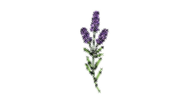 Purple Lavender X-stitch Craft Design Thread Illustration Pattern Isolated Vector Clipart Sewing Embroidery Art Cross-stitch Needlework