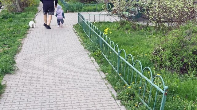 Man and child walking small dog on paving stones in pedestrian zone spring day rear view casual sneakers grassy verge nylon leash