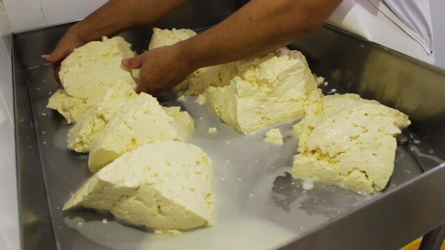 An unrecognizable person is placing blocks of fresh cheese on a metal tray to make traditional Quesillos in Yaguara, Huila, Colombia. Concept of handmade and Colombian food