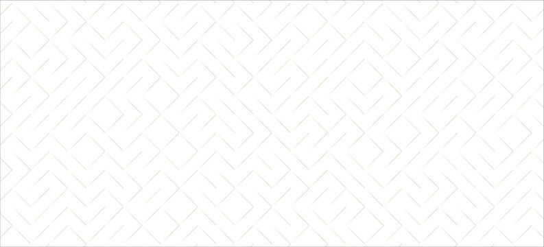Minimal White Geometric Pattern Background with Abstract Linear Maze Texture