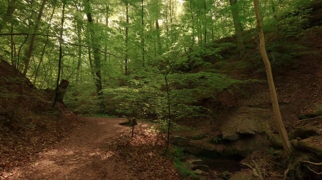 Deep within a forest gorge&mdash;atmospheric, close to nature, and fairytale-like