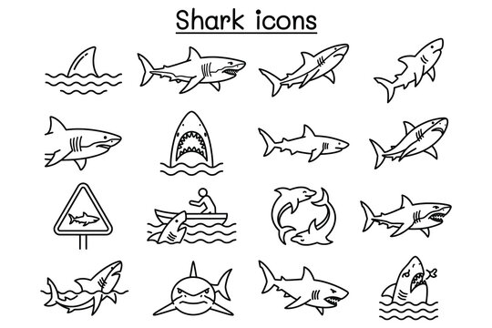 Collection of twelve playful shark icons in black line art style for ocean-themed branding and marine advertising designs