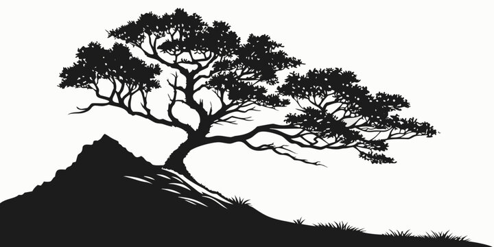 Silhouette of a windswept tree on a grassy incline with a rocky peak black and white contorted branches tree form tree shape rock formation mountain range mountain