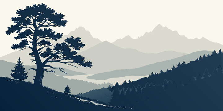 Tranquil landscape with lone tree and mountains graphic resources plants and flowers the environment silhouette mountain landscape background peaceful evergreen