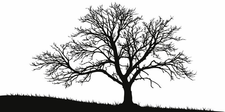 Symmetrical bare tree silhouette with spreading branches on a subtle grassy rise vector graphic for seasonal and architectural designs silhouette branches deciduous