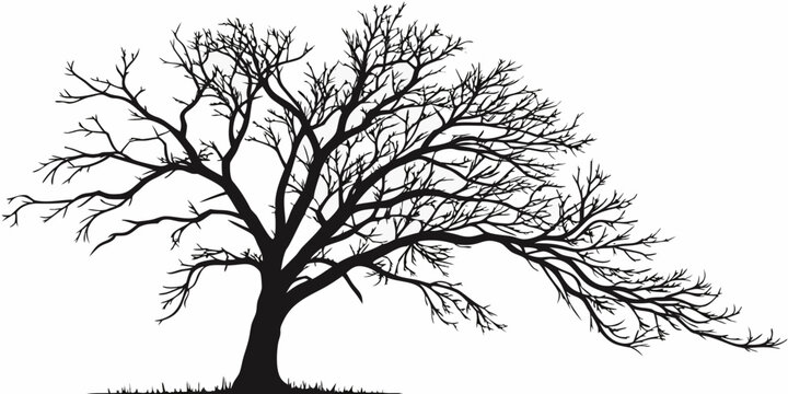 Stylized black silhouette of a bare deciduous tree with winding branches and roots on the ground isolated on a white background for graphic design silhouette deciduous