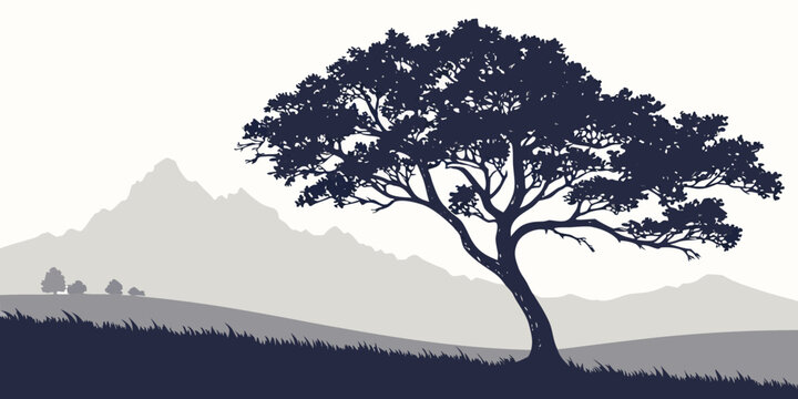 Minimalist vector illustration of a grand old deciduous tree with spreading branches on a grassy hill against distant mountains and a serene sky deciduous landscape