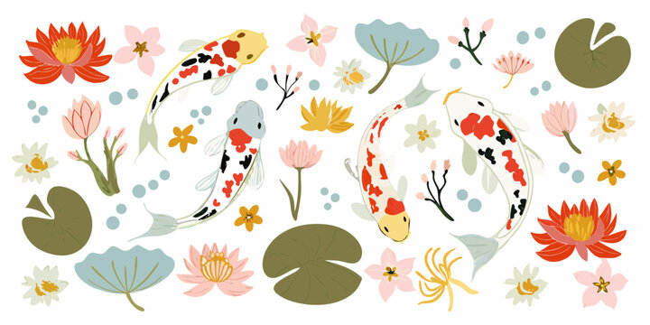 Koi fish and lotus flowers colorful vector illustration on white background