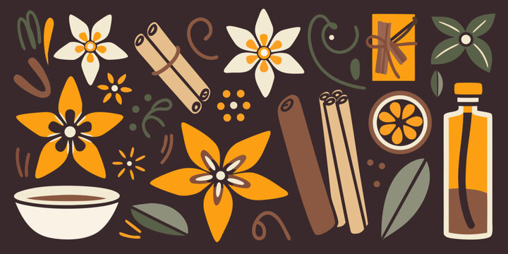 vanilla flowers and cinnamon sticks stylized illustration on brown background