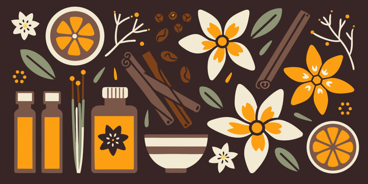 vanilla flowers cinnamon sticks and spice arrangement flat vector illustration