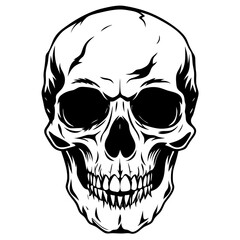 Fototapeta premium Human Skull Black and White Illustration Vector Art Gothic Halloween Design