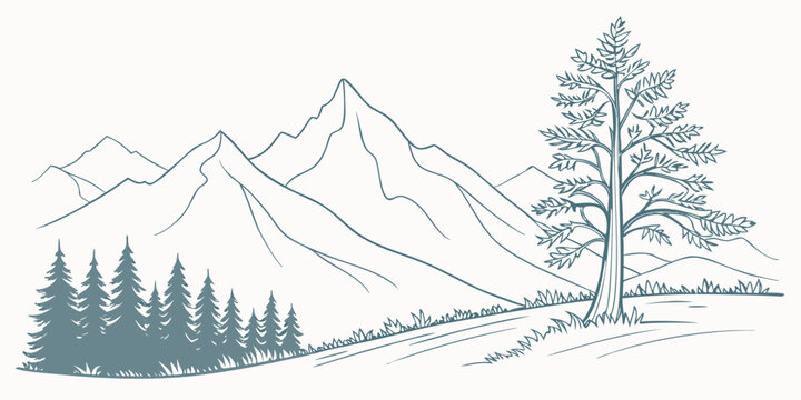 Serene mountain landscape illustration featuring a single pine tree and forest background mountain landscape illustration wilderness outdoors adventure mountains