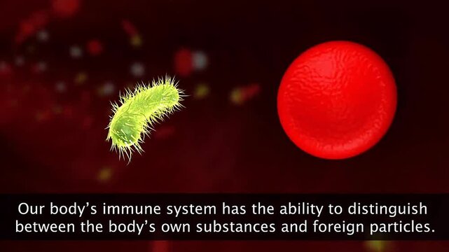 Human body Immune system