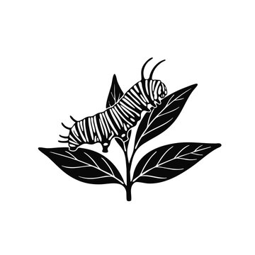 Caterpillar on a leaf. Black and white linocut style vector illustration. Nature growth and metamorphosis concept. Isolated botanical element