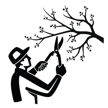 Gardener pruning a tree branch with loppers. Spring gardening and tree care concept. Black silhouette vector icon