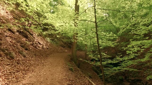 Deep within a forest gorge&mdash;atmospheric, close to nature, and fairytale-like