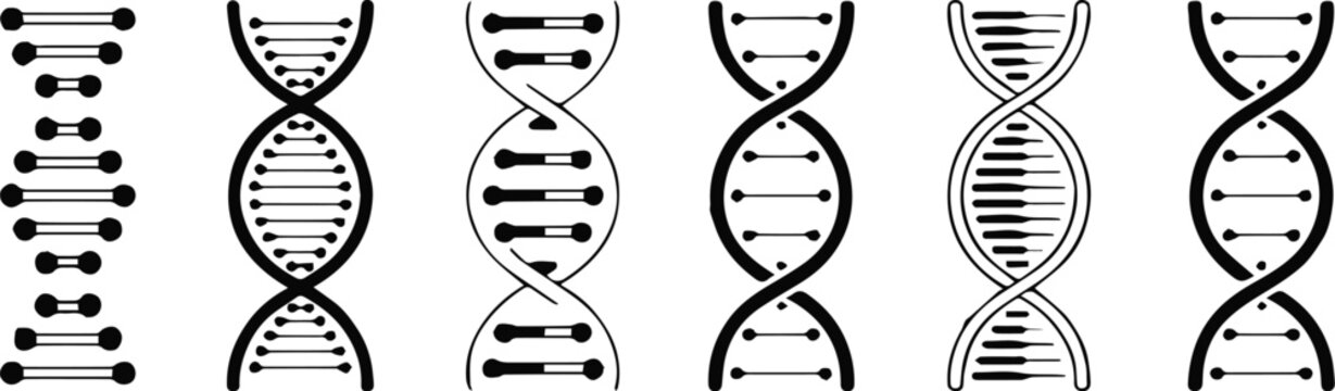 dna strand set vector helix illustrations for science
