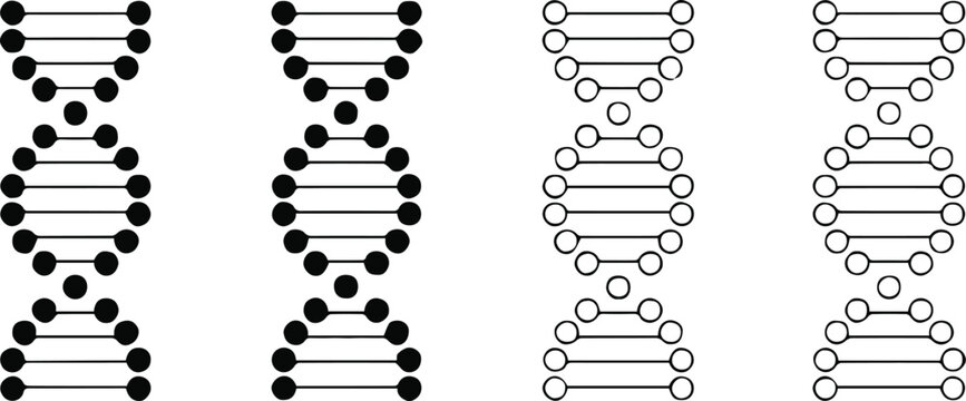 dna molecular structure illustration four colored strand diagrams