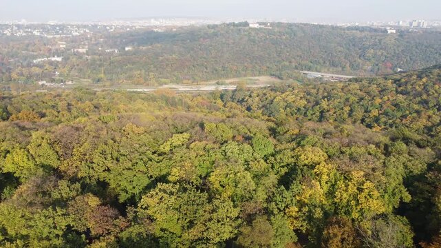 Drone flying backward to reveal the vast Kosutnjak urban forest in Belgrade, Serbia. Early autumn landscape with trees changing colors from green to yellow on a sunny day.